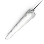 Philips Réglette LED Étanche CoreLine WT120C G2 42.9W 6000lm - 840 Blanc Froid | 150cm 