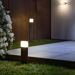 Lichtpalen